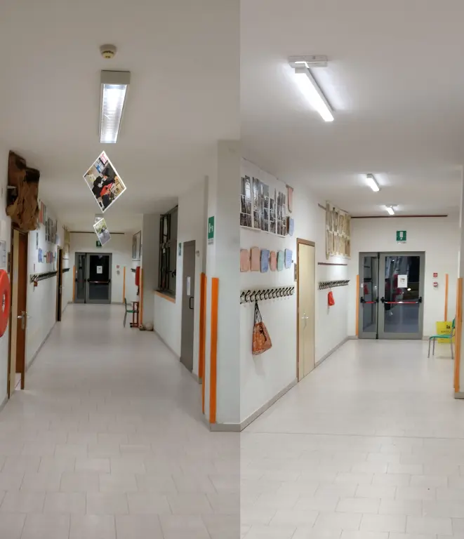Scholen Il Pellicano