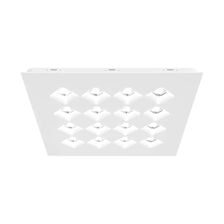 3F D&igrave;agon