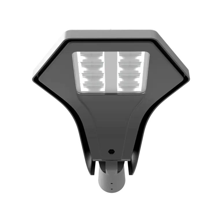3F Manta