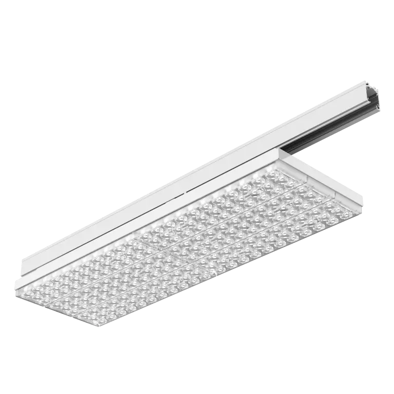 3F Six Track BAT